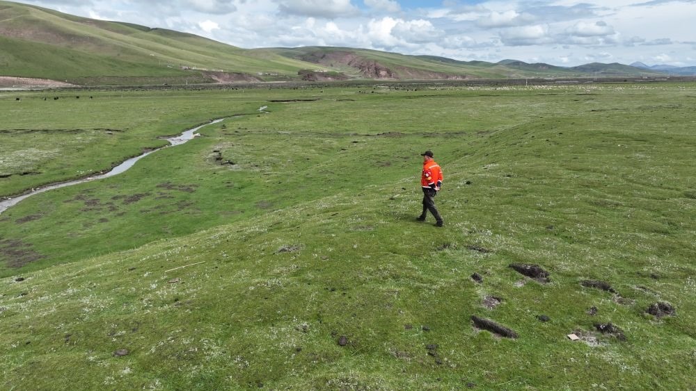 9月24日，生態(tài)管護(hù)員那瓦才郎在草場上巡護(hù)。（受訪者供圖）