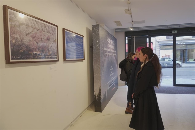 法國(guó)觀眾現(xiàn)場(chǎng)觀展（主辦方供圖）