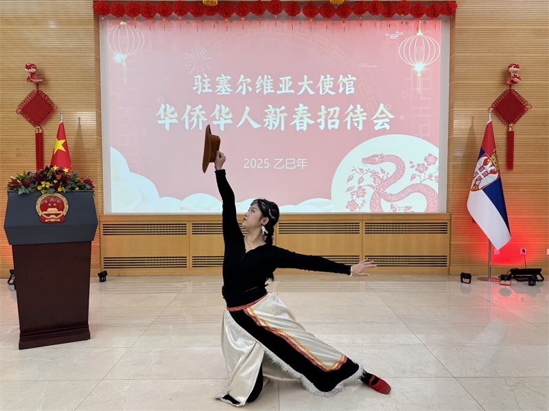 招待會現(xiàn)場表演。諾維薩德孔子學(xué)院供圖