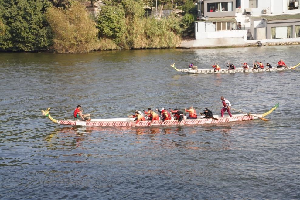 活動現(xiàn)場龍舟競技，共慶春節(jié)。開羅中國文化中心供圖