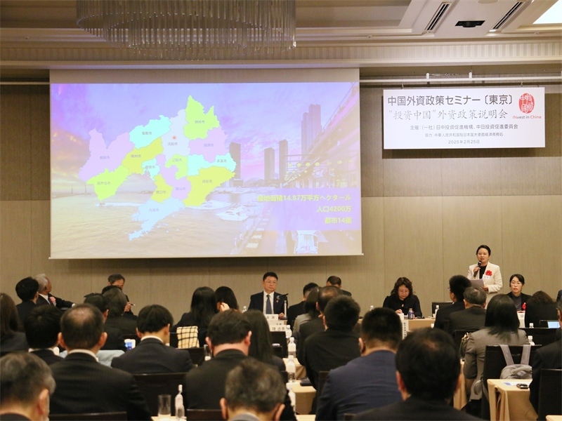 地方代表進(jìn)行專題投資推介。人民網(wǎng) 許可攝