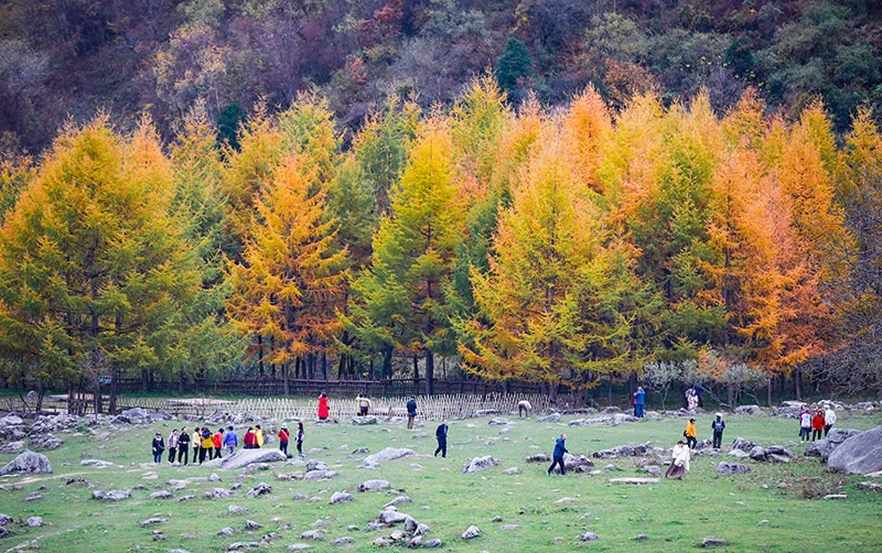 2023年10月27日，深秋時節(jié)的陜西秦嶺太子嶺五彩斑斕，進入最佳觀賞期。