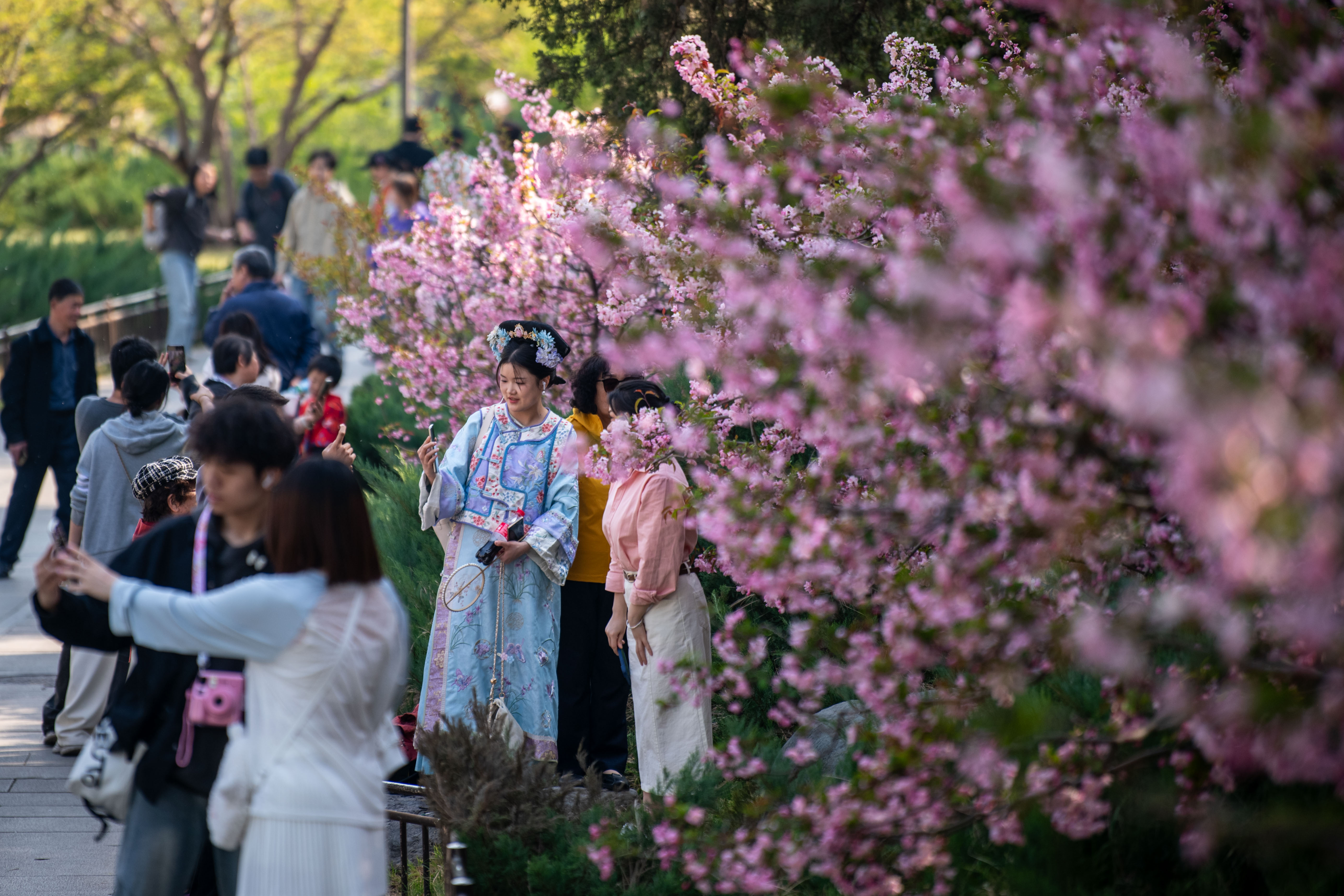 2025年4月6日，北京北海公園，滿園春色醉游人。人民網(wǎng)記者 翁奇羽攝