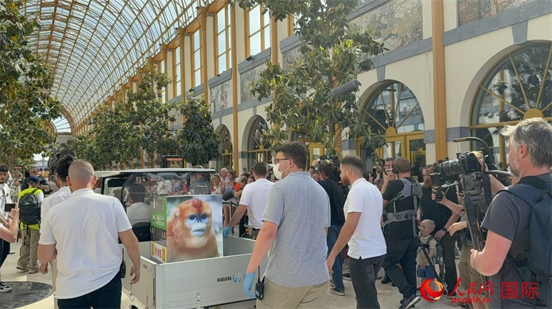 圖為活動現場。人民網記者 牛瑞飛攝