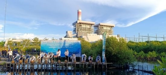 5月18日，中印尼嘉賓在爪哇7號(hào)燃煤電站舉行紅樹林補(bǔ)植儀式。記者 曹凱 攝