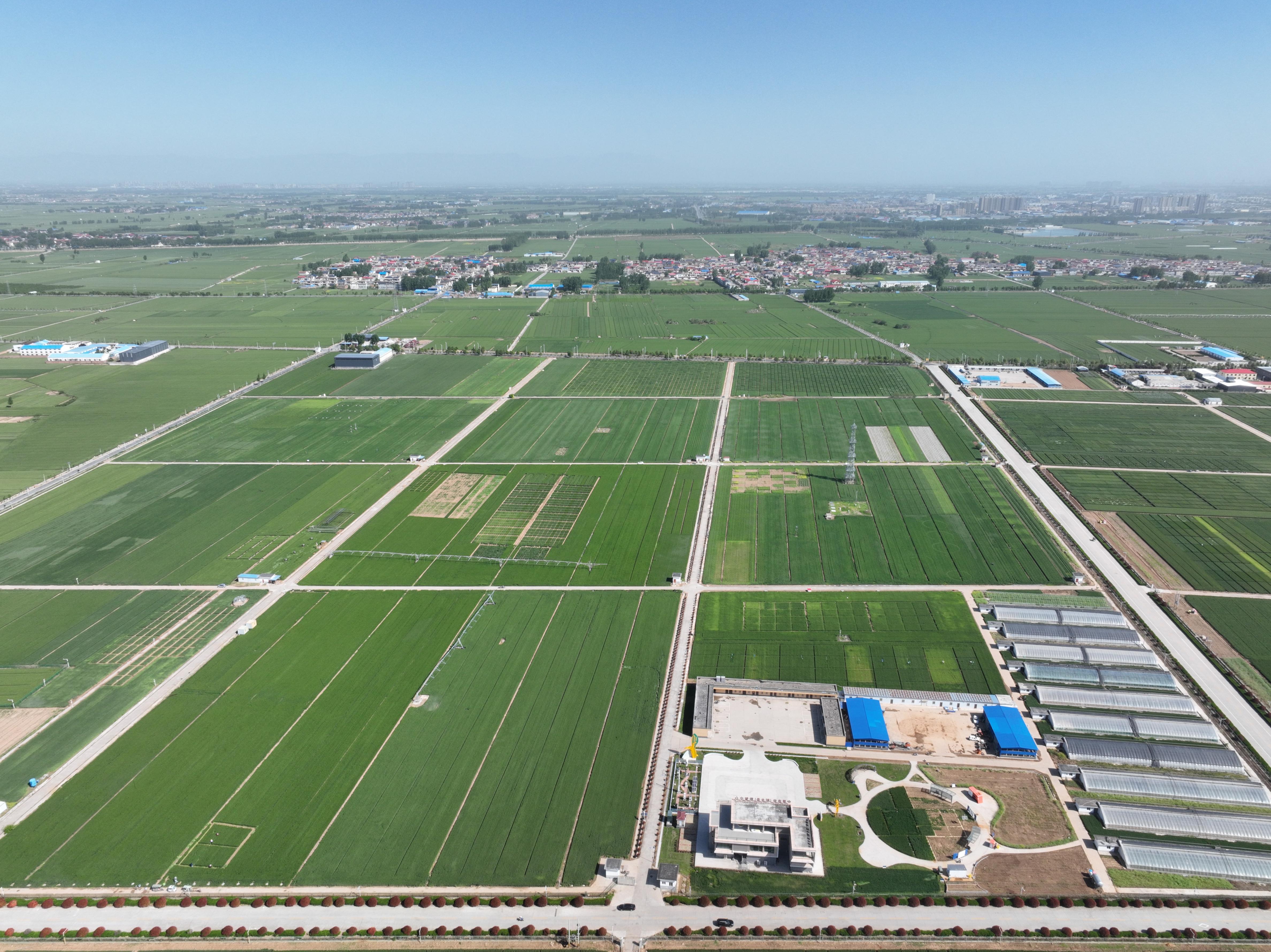 俯瞰水利部灌溉試驗(yàn)總站試驗(yàn)研究基地。受訪者供圖